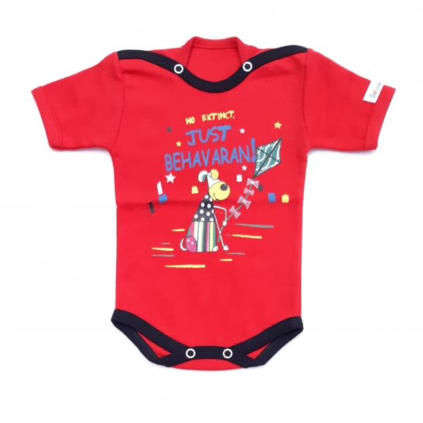 زیرکوتاه بادبادک