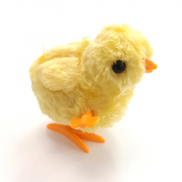 جوجه‌ کوکی