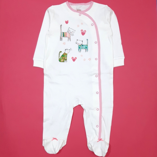 سرهمی خارجی سفید گربه