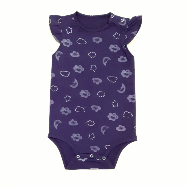 زیررکابی کارترز ابر نیلی