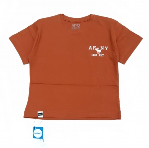 تیشرت AFNY آجری