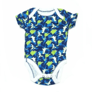 بادی خارجی دایناسور