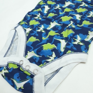 بادی خارجی دایناسور