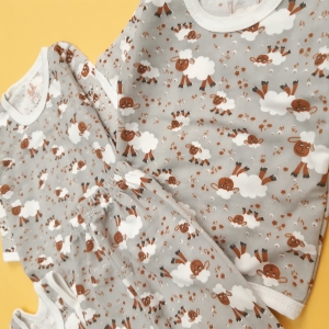 چهار تیکه ببعی طوسی