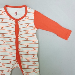 سرهمی خارجی ببری