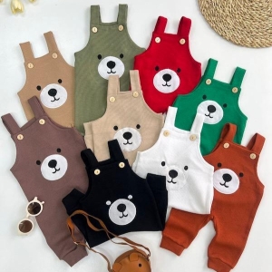 بیلر بیسکوییتی تدی