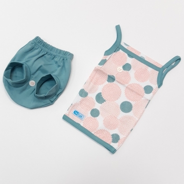 رکابی عینکی گل قاصدک