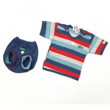 کوتاه عینکی تمساح