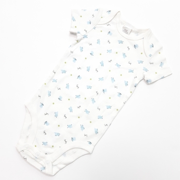 زیرکوتاه اسب آبی