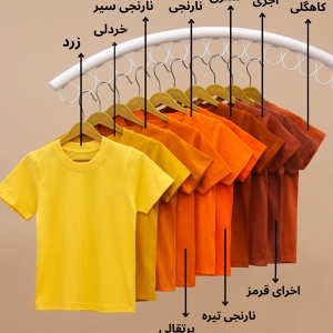 تیشرت NZDE