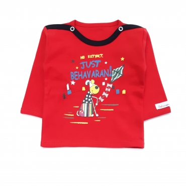 بلند بادبادک