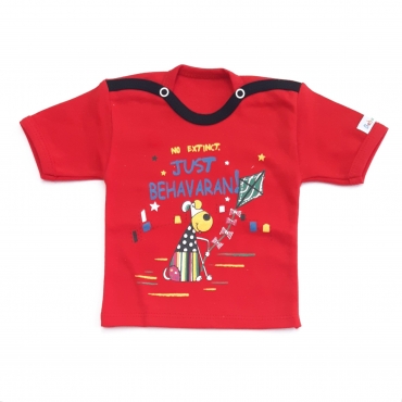 کوتاه بادبادک