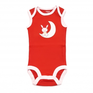 زیررکابی ماه