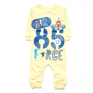 سرهمی هواپیما