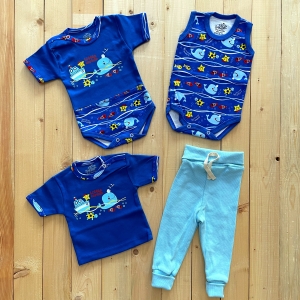 چهار تیکه دلفین