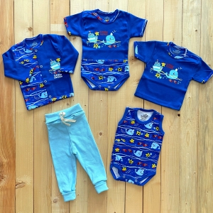 پنج تیکه دلفین