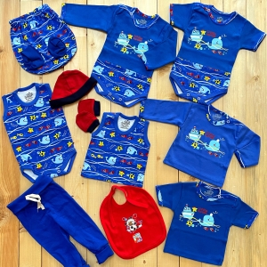 یازده تیکه بیمارستانی دلفین