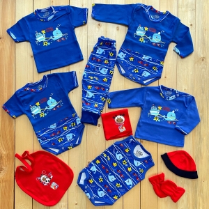 ده تیکه بیمارستانی دلفین