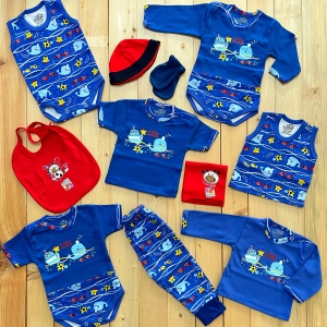 یازده تیکه بیمارستانی دلفین