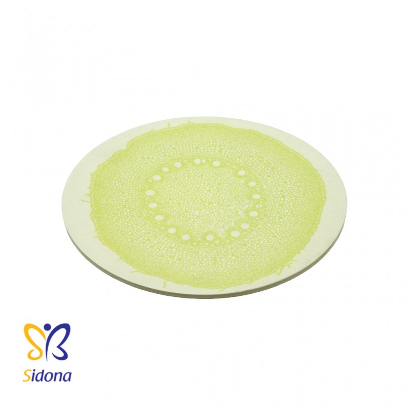 KPFD 04680 پیش دستی DNA