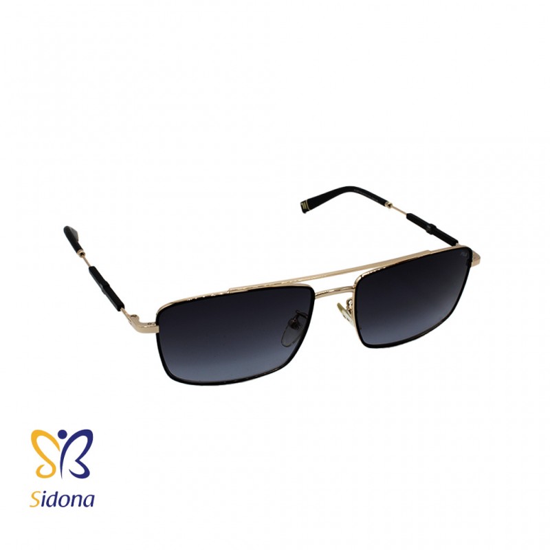 SFI116V          302