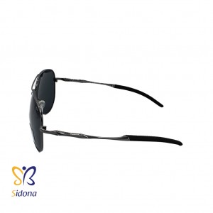 SFI079          I87P