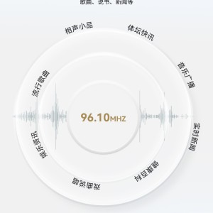 پخش کننده MP3  ام روبو مدل C5
