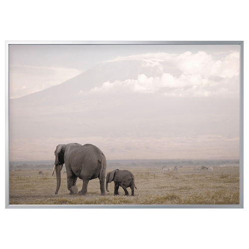 عکس با قاب ایکیا BJORKSTA سایز 200 در 140