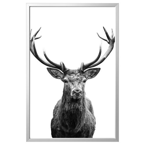 عکس با قاب ایکیا BJORKSTA سایز 78 در 118