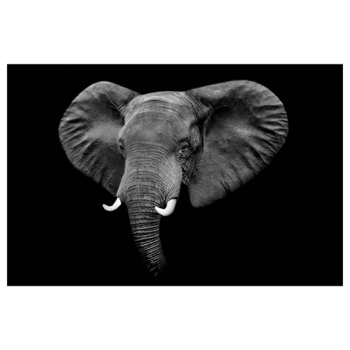 تابلو بدون قاب ایکیا PJATTERYD سایز 118 در 78