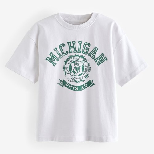 NEXT Relaxed Fit Short Sleeve Graphic T-Shirt (3-16yrs)