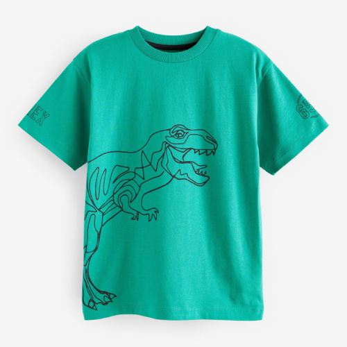 NEXT Relaxed Fit Short Sleeve Graphic T-Shirt (3-16yrs)