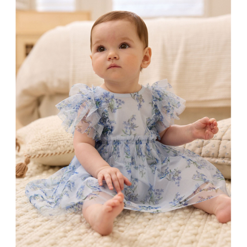NEXT Baby Occasion Mesh Frill Sleeve Dress (0mths-2yrs)