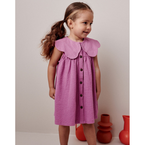 NEXT Collared Day Dress (3mths-7yrs)