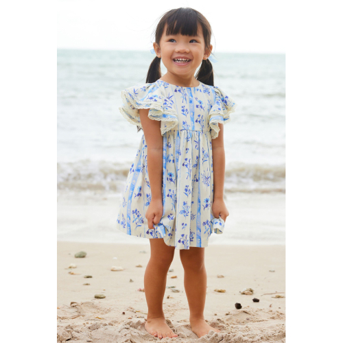 NEXT Blue Floral Angel Sleeve Dress (3mths-8yrs)
