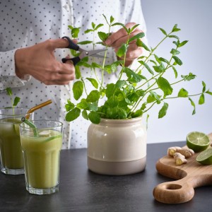 ظرف دردار BRUGDHAJ ایکیا، بژ 1 لیتری | دکوری و کاربردی