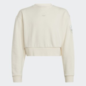 سویشرت کراپ آدیداس Graphic Print بچه‌گانه