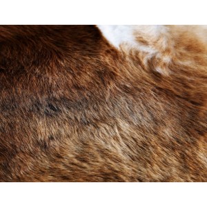 قالیچه خز ایکیا KOLDBY سایز 72 سانتی متر