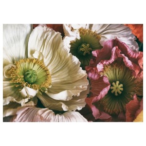 تابلو بدون قاب ایکیا PJATTERYD سایز 100 در 70