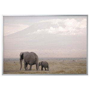 عکس با قاب ایکیا BJORKSTA سایز 200 در 140