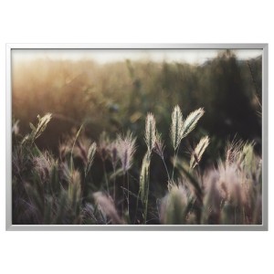 عکس با قاب ایکیا BJORKSTA سایز 140 در 100