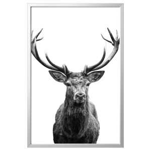 عکس با قاب ایکیا BJORKSTA سایز 78 در 118