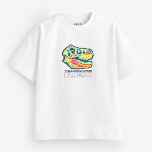 NEXT Relaxed Fit Short Sleeve Graphic T-Shirt (3-16yrs)