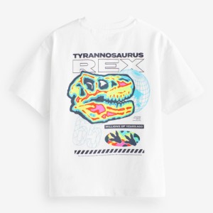 NEXT Relaxed Fit Short Sleeve Graphic T-Shirt (3-16yrs)