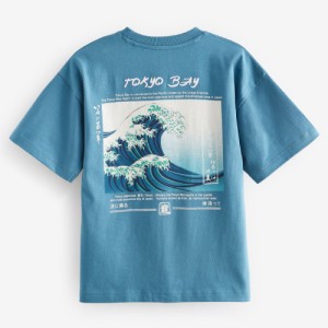 NEXT Relaxed Fit Short Sleeve Graphic T-Shirt (3-16yrs)