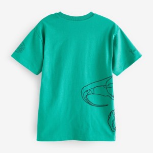 NEXT Relaxed Fit Short Sleeve Graphic T-Shirt (3-16yrs)