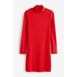 NEXT Ribbed Roll Neck Long Sleeve Mini Dress