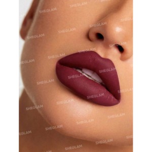 SHEGLAM Matte Allure Lipstick - Chic 20 Colors Long Lasting  Lipstick High Pigment Velvety Soft Lipstick