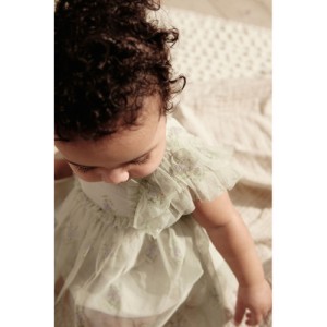 NEXT Baby Occasion Mesh Frill Sleeve Dress (0mths-2yrs)