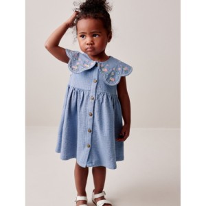 NEXT Collared Day Dress (3mths-7yrs)